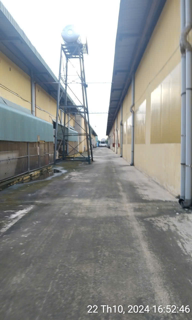 Nhà Xưởng Tiêu Chuẩn Tại KCN Tân Thuận, TP.HCM